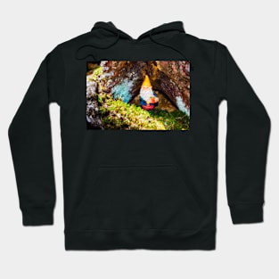 Woodland Gnome 7 Hoodie